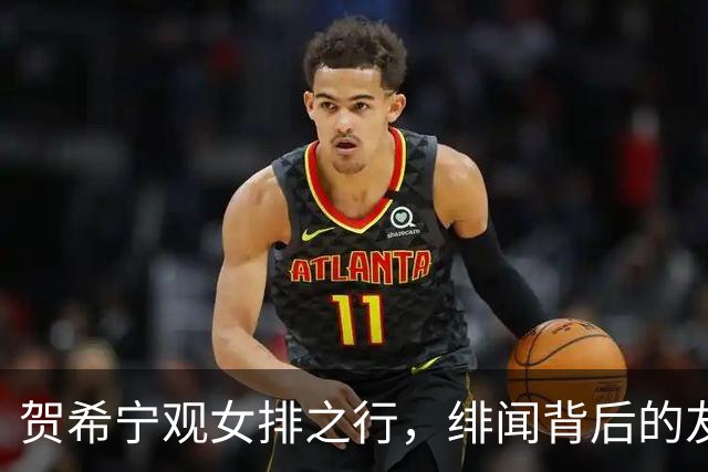 贺希宁观女排之行，绯闻背后的友谊与奋斗
